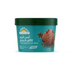 Natureland Organic Cocoa Hazelnut Ice Cream